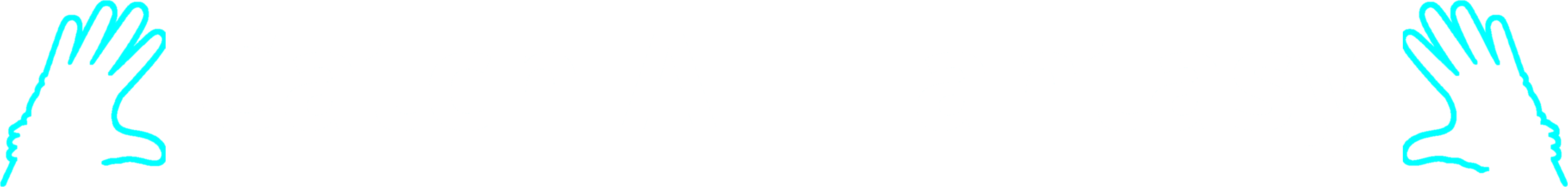 Catch All Fantasy